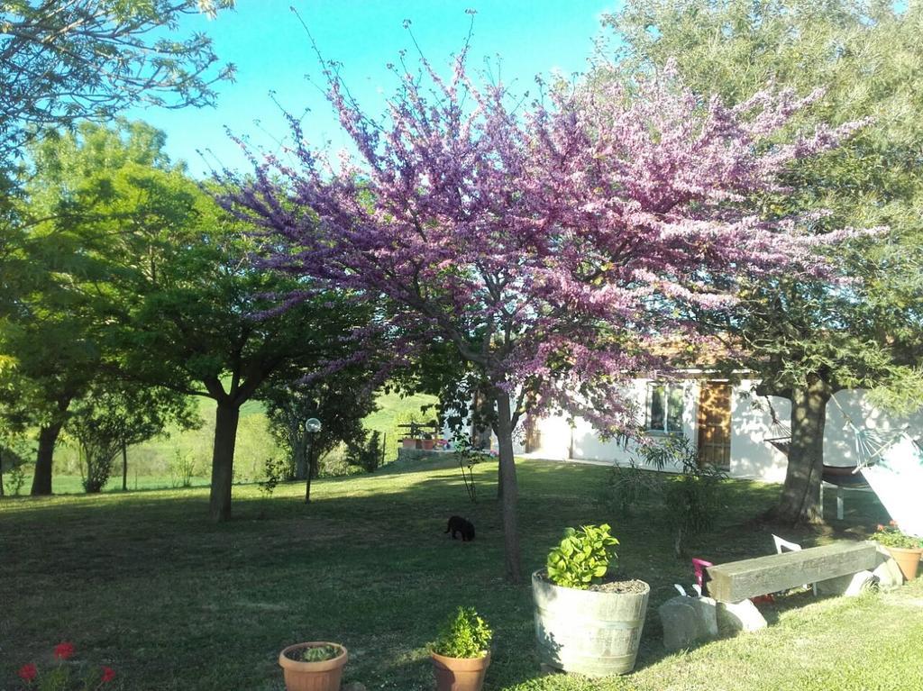 מליאנו אין טוסקנה Agriturismo Da Remo מראה חיצוני תמונה