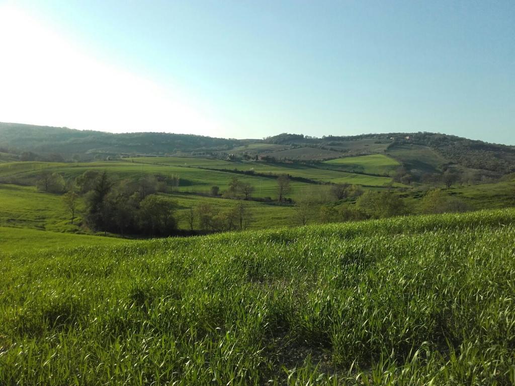 מליאנו אין טוסקנה Agriturismo Da Remo מראה חיצוני תמונה